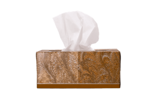 Tissue